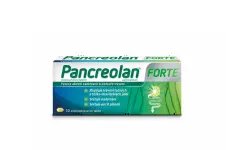 11484_0-PANCREOLAN-FORTE-6000U-30-TBL