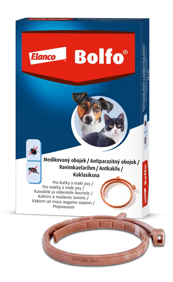 2192_IN24-087_BOLFO-OBOJEK-VPRAVO-MALI