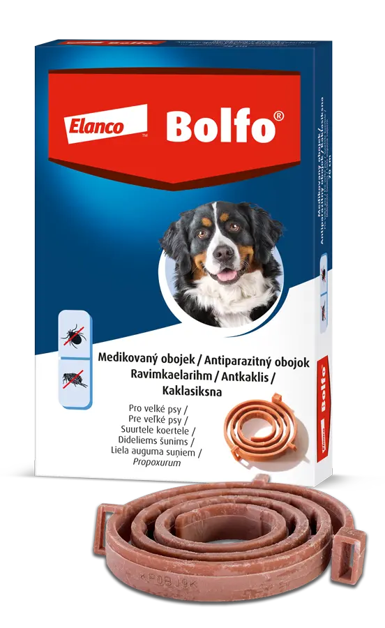 2197_IN24-087_BOLFO-OBOJEK-VPRAVO-VELCI