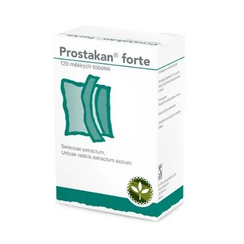 Prostata