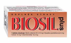 Naturvita Biosil plus 60 tablet