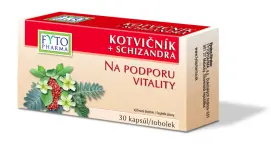 3648_KOTVICNIK