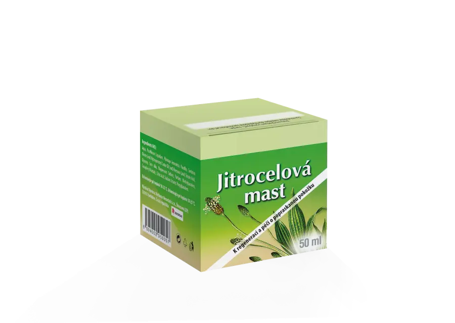 6670_JITROCELOVA_MAST_CZ_2021