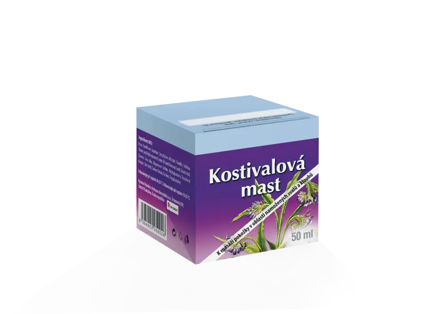 6809_KOSTIVALOVA_MAST_CZ_2021