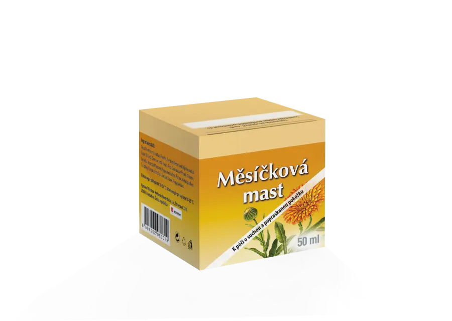 9125_MESICKOVA_MAST_CZ_2021