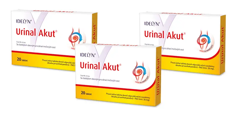 13243-sady_duo-trio2