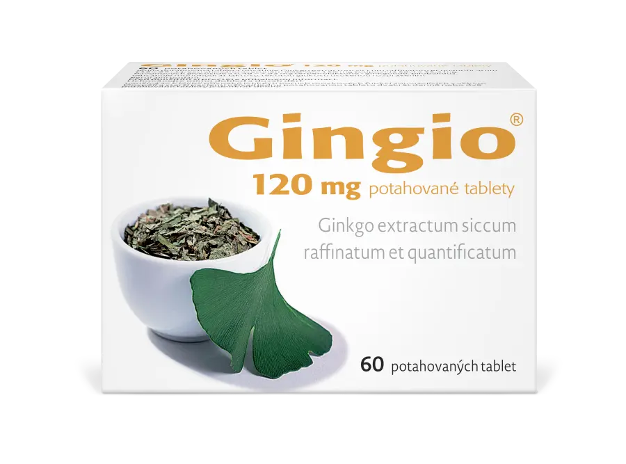 3852-gingio_120_60tbl_f_2025_nove_logo